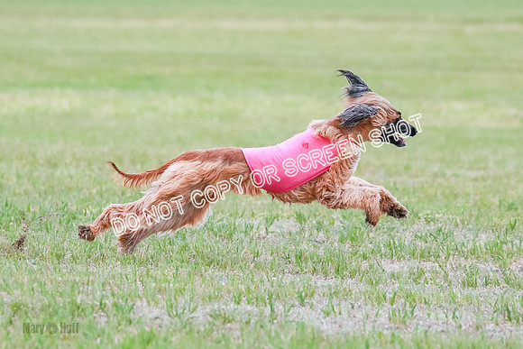 A Prelim Open 2 Oakley Isha-0226