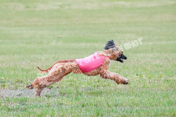A Prelim Open 2 Oakley Isha-0233