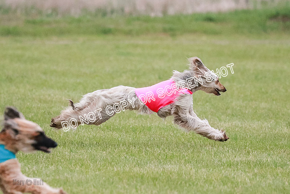 A Prelim Open 1 Freya Jib Ghissa-0131