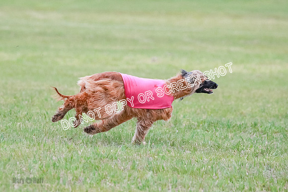 A Prelim Open 2 Oakley Isha-0223
