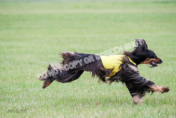 A Prelim Open 2 Oakley Isha-0220
