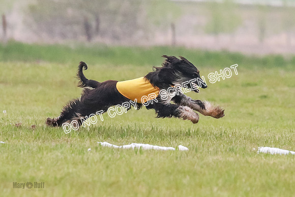 B Prelim Fch 1  Drum, Nike, Ingvar-0258