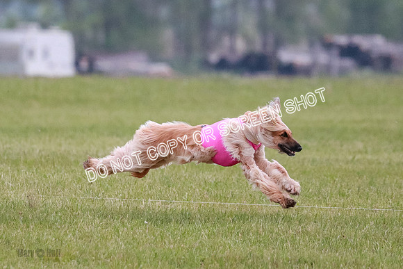 B Prelim Fch 1  Drum, Nike, Ingvar-0270