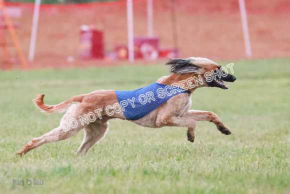 B Prelim Fch 1  Drum, Nike, Ingvar-0304