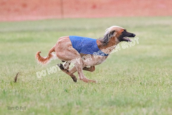 B Prelim Fch 1  Drum, Nike, Ingvar-0306