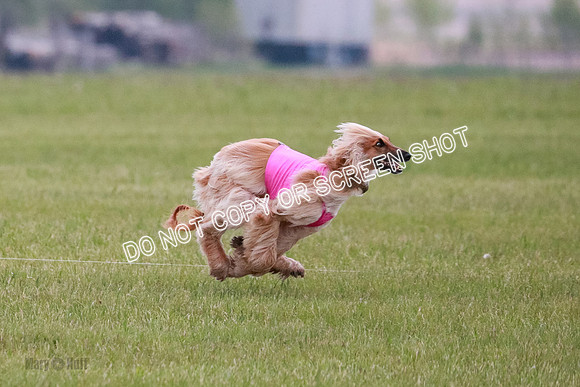 B Prelim Fch 1  Drum, Nike, Ingvar-0272