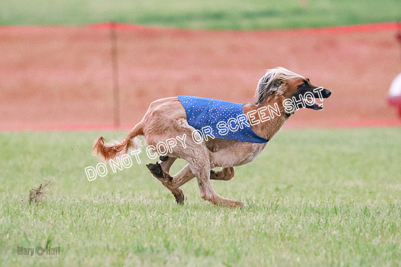 B Prelim Fch 1  Drum, Nike, Ingvar-0299