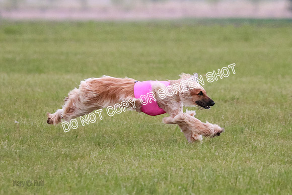 B Prelim Fch 1  Drum, Nike, Ingvar-0273