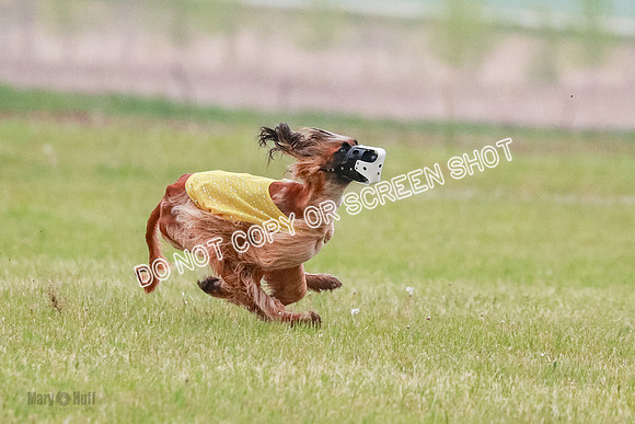 A Prelim Open 1 Freya Jib Ghissa-0142