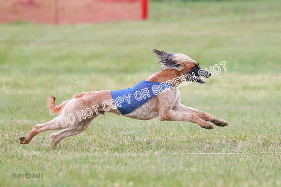 B Prelim Fch 1  Drum, Nike, Ingvar-0313