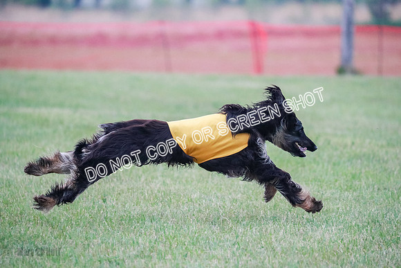 B Prelim Fch 1  Drum, Nike, Ingvar-0288