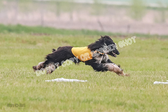 B Prelim Fch 1  Drum, Nike, Ingvar-0262