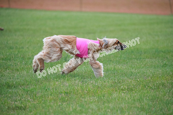B Prelim Fch 1  Drum, Nike, Ingvar-0276