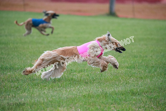 B Prelim Fch 1  Drum, Nike, Ingvar-0274
