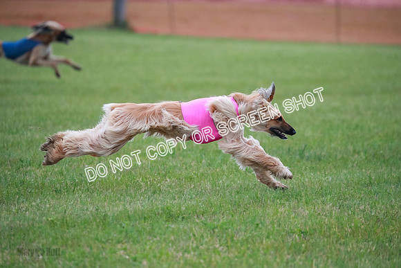 B Prelim Fch 1  Drum, Nike, Ingvar-0275