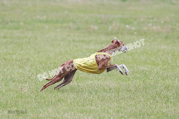 B Prelim Fch Ramisi-0459