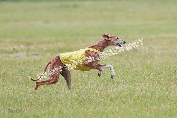 B Prelim Fch Ramisi-0469