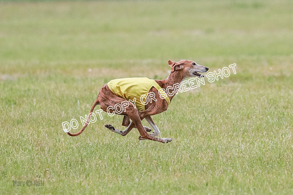 B Prelim Fch Ramisi-0468