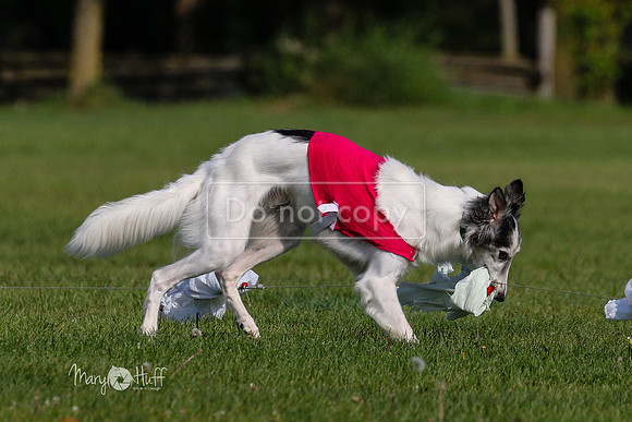 MCH72821
