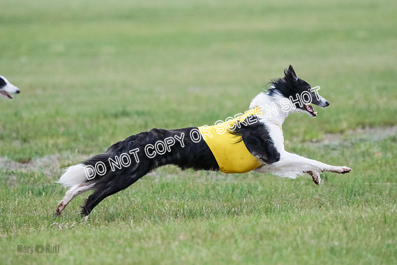 A Prelim Open 1 Phyn Kenai-0573
