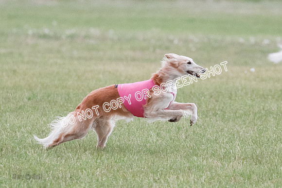 B Prelim Fch 1 Chyna Possum-0659