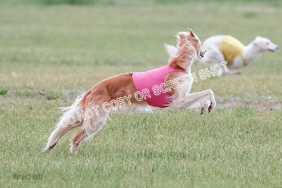 B Prelim Fch 1 Chyna Possum-0665