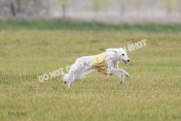 B Prelim Fch 1 Chyna Possum-0670