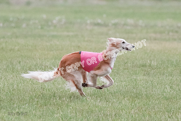 B Prelim Fch 1 Chyna Possum-0658