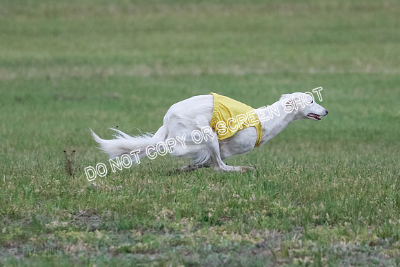 B Prelim Fch 1 Chyna Possum-0704