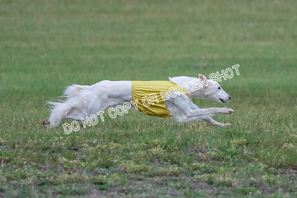 B Prelim Fch 1 Chyna Possum-0710