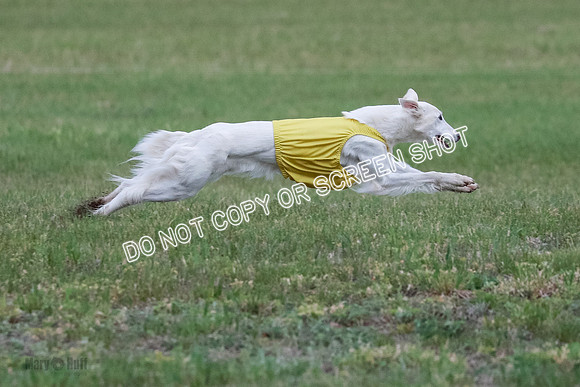 B Prelim Fch 1 Chyna Possum-0706