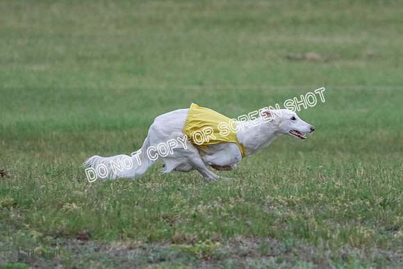 B Prelim Fch 1 Chyna Possum-0712