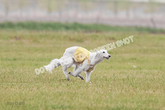 B Prelim Fch 1 Chyna Possum-0672