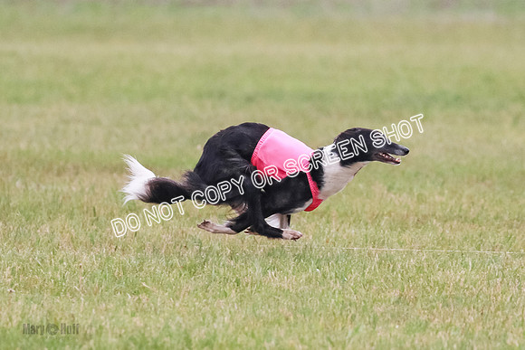 A Prelim Open 2 Camper Saucy-0605