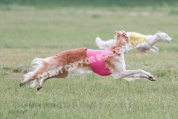 B Prelim Fch 1 Chyna Possum-0666