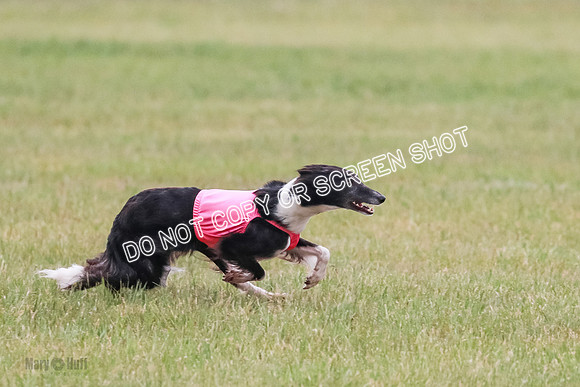 A Prelim Open 2 Camper Saucy-0611