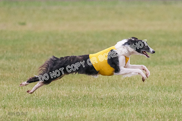 A Prelim Open 1 Phyn Kenai-0565