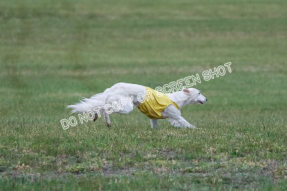B Prelim Fch 1 Chyna Possum-0703