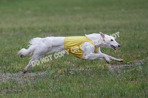 B Prelim Fch 1 Chyna Possum-0717