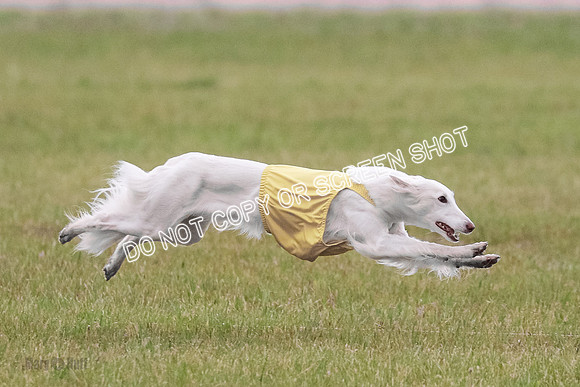 B Prelim Fch 1 Chyna Possum-0688