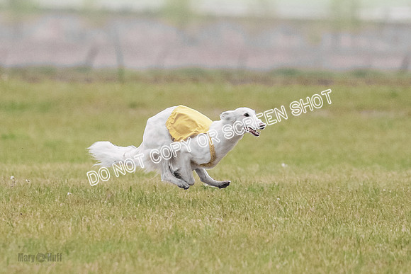 B Prelim Fch 1 Chyna Possum-0677