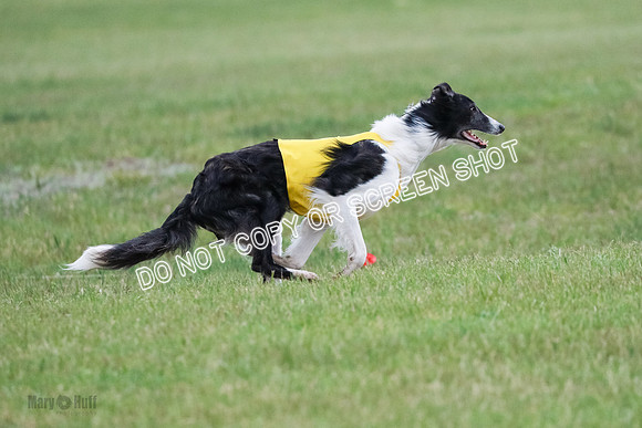 A Prelim Open 1 Phyn Kenai-0575