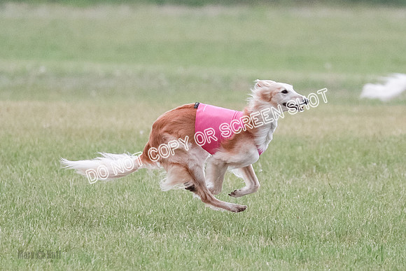B Prelim Fch 1 Chyna Possum-0663