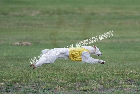 B Prelim Fch 1 Chyna Possum-0702