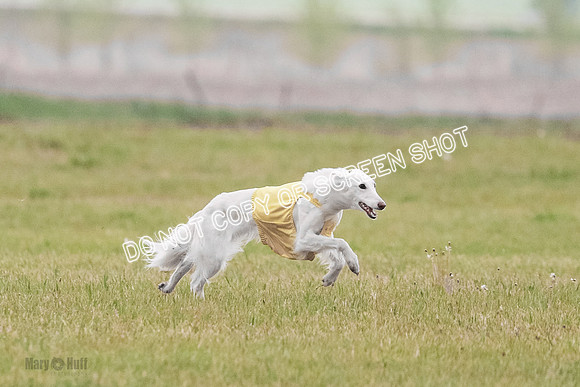 B Prelim Fch 1 Chyna Possum-0674