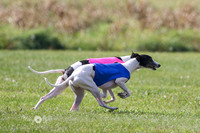 MCH72933 Ripples, Cookie, Pearl