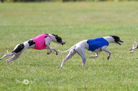 MCH72938 Ripples, Cookie, Pearl