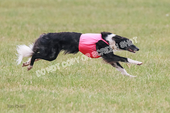 A Prelim Open 2 Camper Saucy-0617