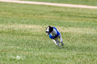 MCH72944 Ripples, Cookie, Pearl