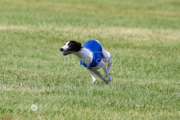 MCH72949 Ripples, Cookie, Pearl
